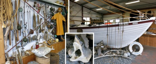 The boat and equipment needed for fishing the Greenland shark; the Shark Museum at Bjarnarhöfn, Iceland.